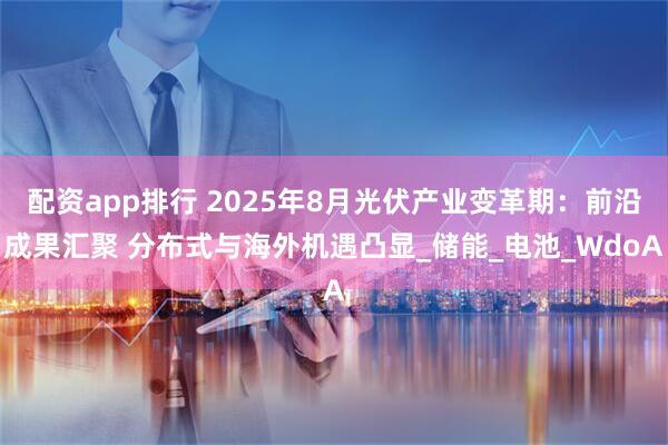 配资app排行 2025年8月光伏产业变革期：前沿成果汇聚 分布式与海外机遇凸显_储能_电池_WdoA