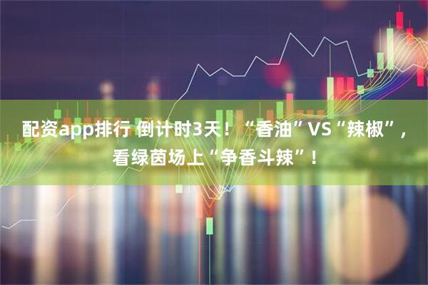 配资app排行 倒计时3天！“香油”VS“辣椒”，看绿茵场上“争香斗辣”！