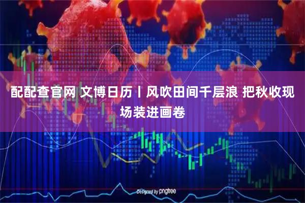 配配查官网 文博日历丨风吹田间千层浪 把秋收现场装进画卷